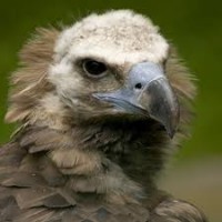 /album/fotogaleria/images-3-jpg/